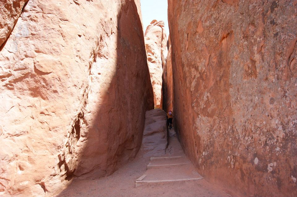 Narrow Trail